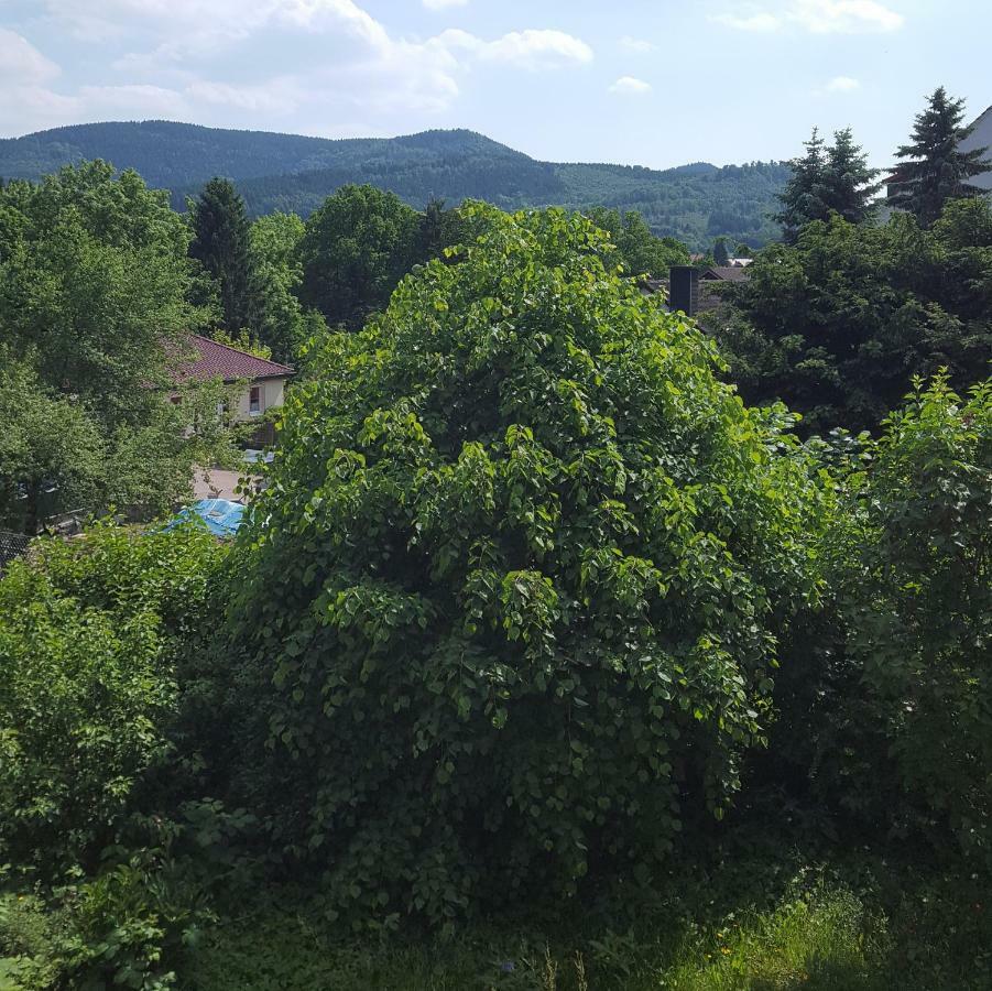 Wolfshagen Appartement Langelsheim Buitenkant foto