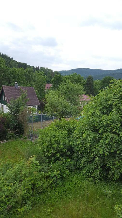 Wolfshagen Appartement Langelsheim Buitenkant foto