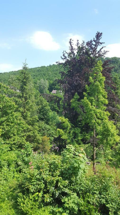 Wolfshagen Appartement Langelsheim Buitenkant foto